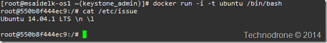 docker run