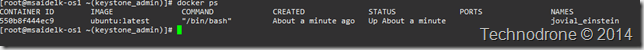 docker ps