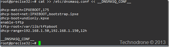 dnsmasq.conf